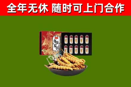 涪陵区回收冬虫夏草价格