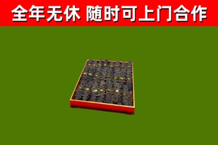 涪陵区回收海参